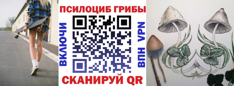 Купить закладки  Железноводск  Галлюциногенные грибы прущие грибы 